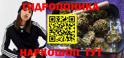 наркотики Заводоуковск